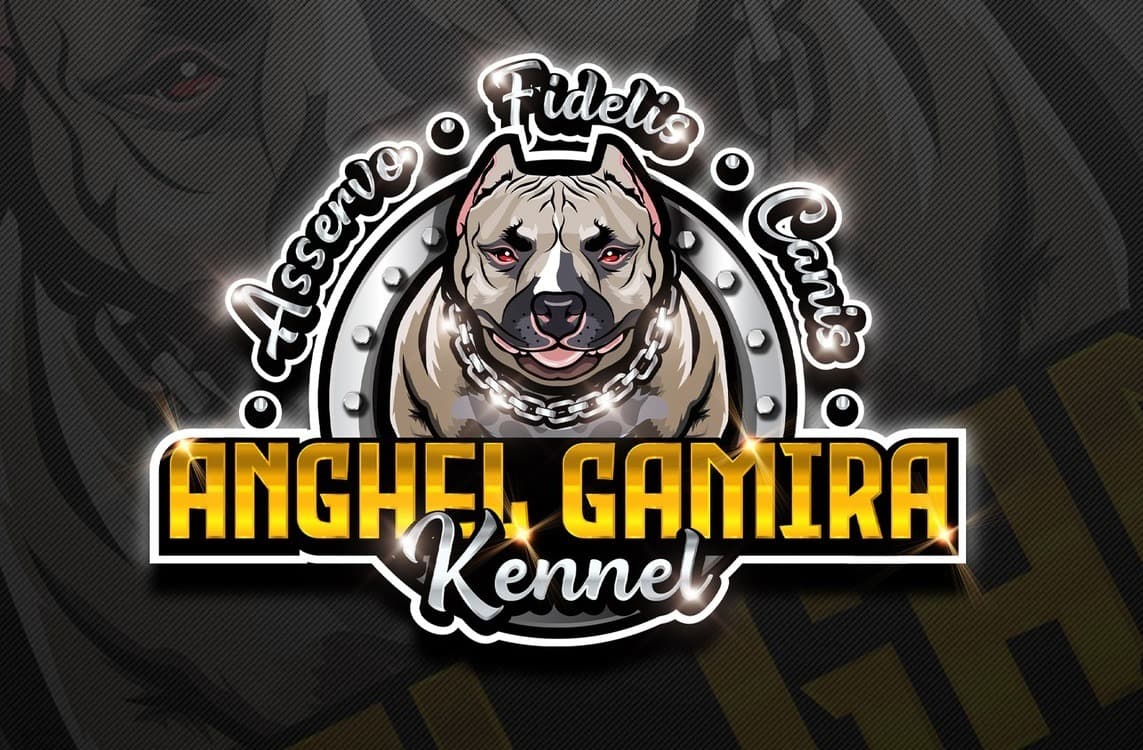 Anghel Gamira Kennel mascot logo with a bully dog
