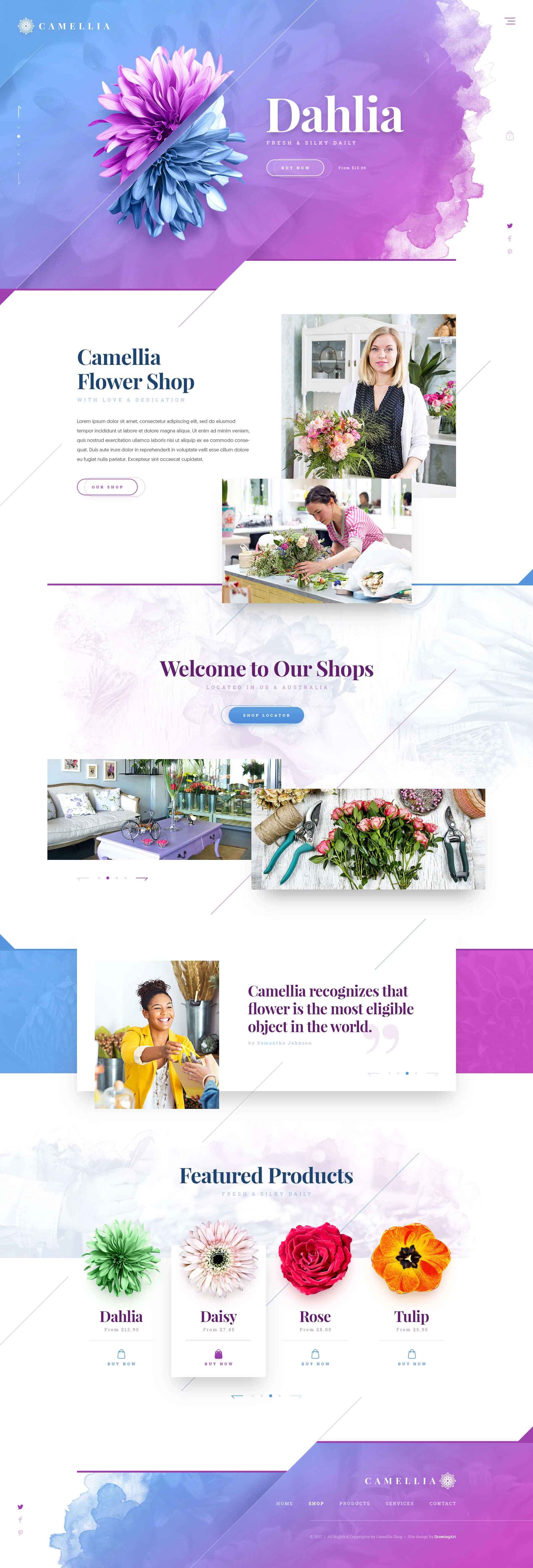 Camellia flower shop website design with a pink dahlia hero